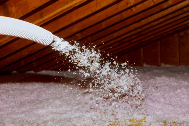 Best Insulation Maintenance and Repair in Irvington, KY